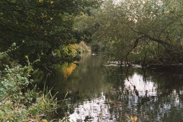 Photograph of the riverside below Saint Ann's Mills