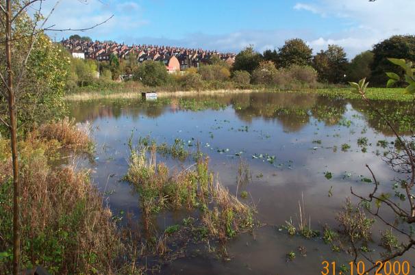 Flooded farmland near Burley Mills