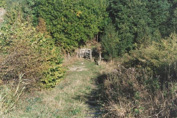Photograph of a footpath on the Nature Reserve
